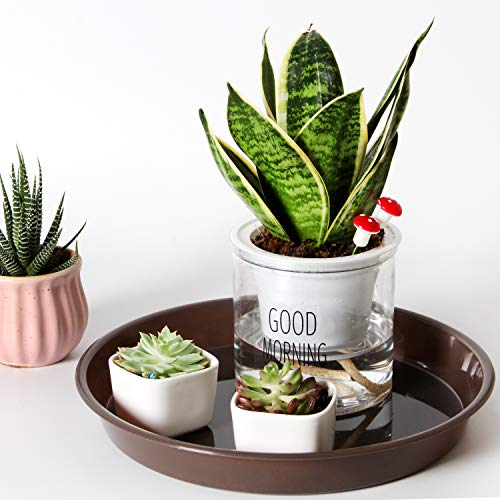 Youngever 10 Pack 10 Inch Plastic Plant Saucers, Thick and Heavy D...