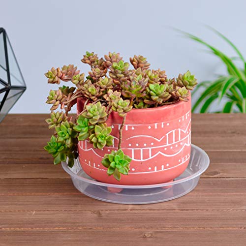 Youngever 21 Pack Clear Plastic Plant Saucers, Thick Heavy Duty Pl...