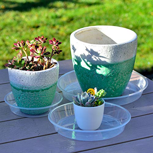 Youngever 21 Pack Clear Plastic Plant Saucers, Thick Heavy Duty Pl...