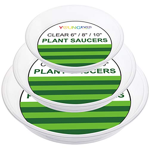 Youngever 21 Pack Clear Plastic Plant Saucers, Thick Heavy Duty Pl...