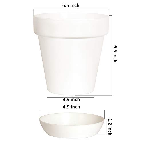 Youngever 7 Pack 6.5 Inch Plastic Planters, Indoor Flower Plant Po...
