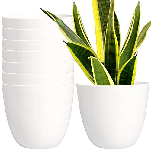 Youngever 7 Pack 6.5 Inch Plastic Planters Indoor Flower Plant Pot...