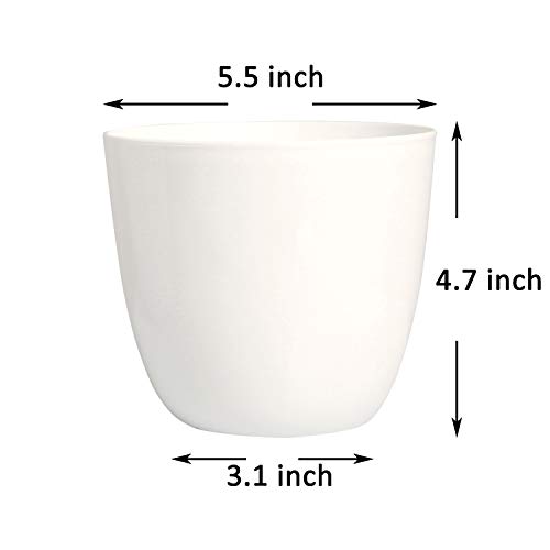 Youngever 8 Pack 5.5 Inch Plastic Planters Indoor Flower Plant Pot...