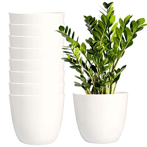 Youngever 8 Pack 5.5 Inch Plastic Planters Indoor Flower Plant Pot...