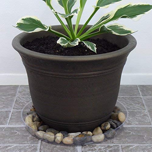 Clear Plant Saucers - 12 Inch - Excellent For Indoor & Outdoor Pla...