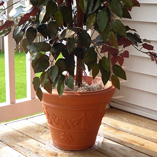 Clear Plant Saucers - 12 Inch - Excellent For Indoor & Outdoor Pla...