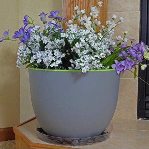 Clear Plant Saucers - 12 Inch - Excellent For Indoor & Outdoor Pla...