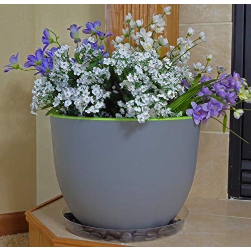 Clear Plant Saucers - 12 Inch - Excellent For Indoor & Outdoor Pla...