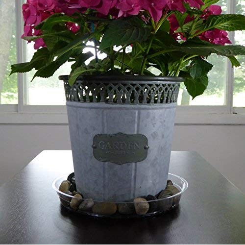 YOUniversal Products 5 Pack of 10 Inch Clear Plastic Plant Saucers...