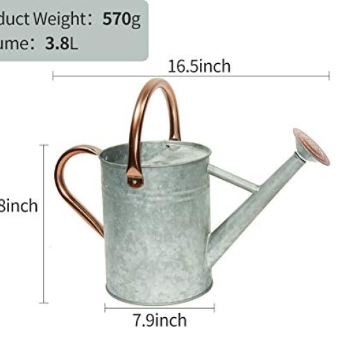 Metal Watering Can, One Gallon Watering Cans Stainless Steel Handl...
