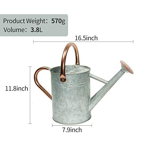 Metal Watering Can, One Gallon Watering Cans Stainless Steel Handl...