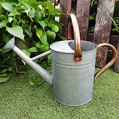 Metal Watering Can, One Gallon Watering Cans Stainless Steel Handl...
