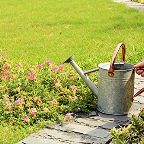Metal Watering Can, One Gallon Watering Cans Stainless Steel Handl...