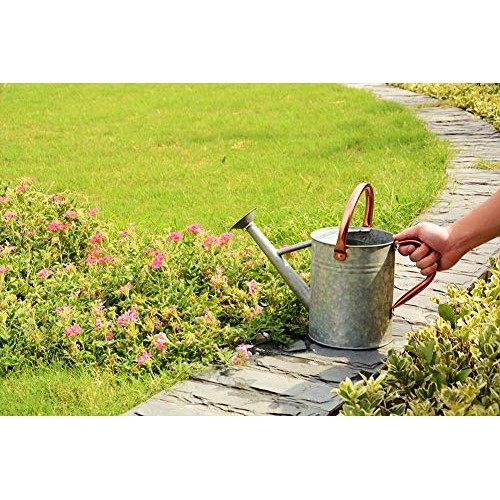 Metal Watering Can, One Gallon Watering Cans Stainless Steel Handl...