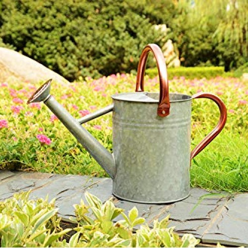 Metal Watering Can, One Gallon Watering Cans Stainless Steel Handl...