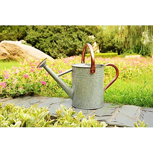 Metal Watering Can, One Gallon Watering Cans Stainless Steel Handl...
