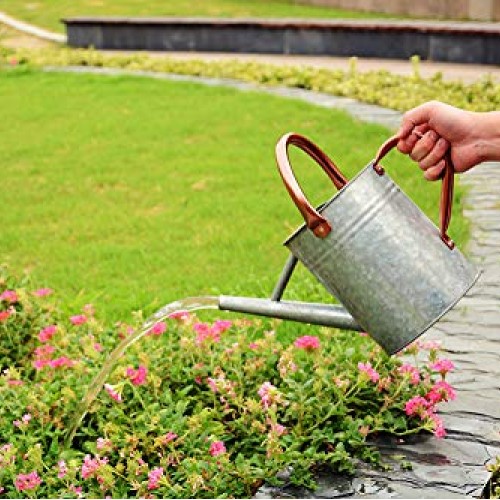 Metal Watering Can, One Gallon Watering Cans Stainless Steel Handl...