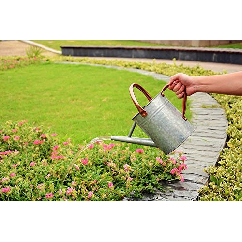 Metal Watering Can, One Gallon Watering Cans Stainless Steel Handl...