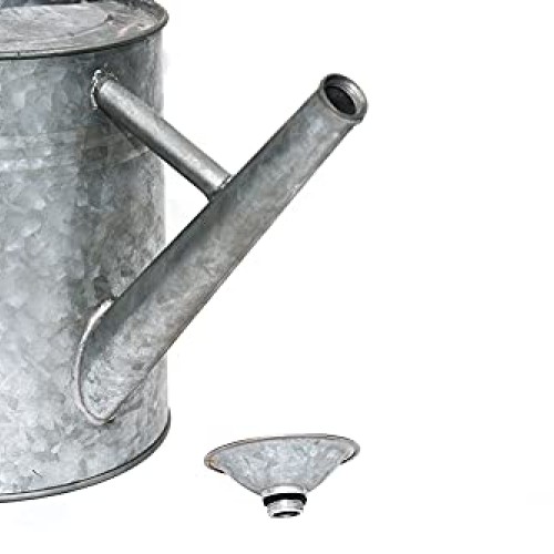 Metal Watering Can, One Gallon Watering Cans Stainless Steel Handl...