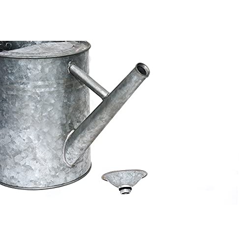 Metal Watering Can, One Gallon Watering Cans Stainless Steel Handl...