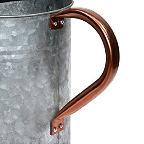 Metal Watering Can, One Gallon Watering Cans Stainless Steel Handl...
