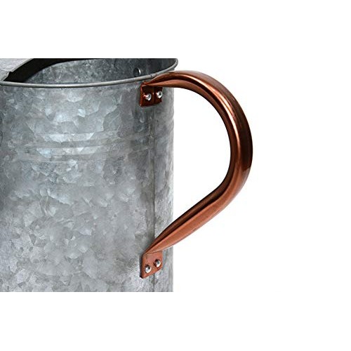 Metal Watering Can, One Gallon Watering Cans Stainless Steel Handl...