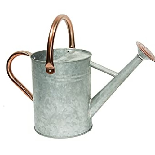 Metal Watering Can, One Gallon Watering Cans Stainless Steel Handl...