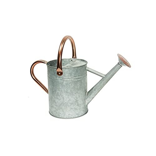 Metal Watering Can, One Gallon Watering Cans Stainless Steel Handl...
