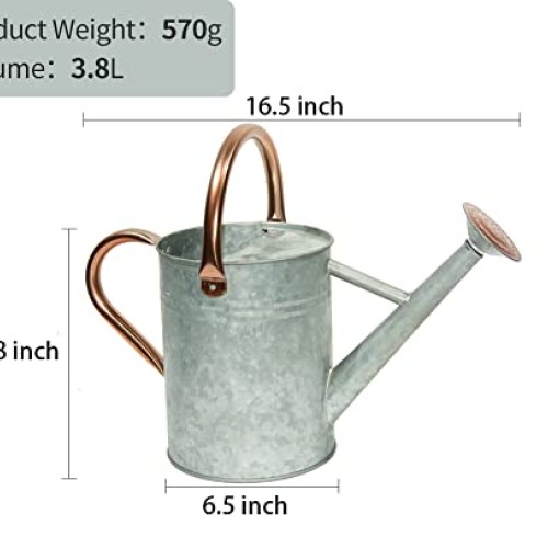 yourjoy Metal Watering Can, One Gallon Watering Cans Stainless Ste...