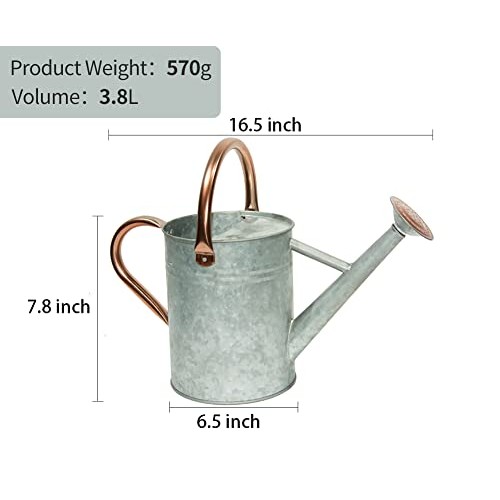 yourjoy Metal Watering Can, One Gallon Watering Cans Stainless Ste...
