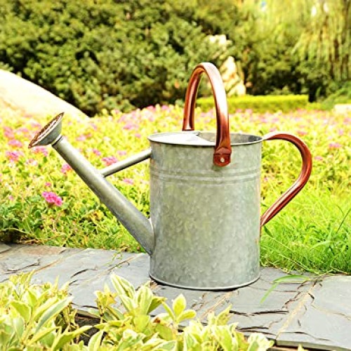 yourjoy Metal Watering Can, One Gallon Watering Cans Stainless Ste...