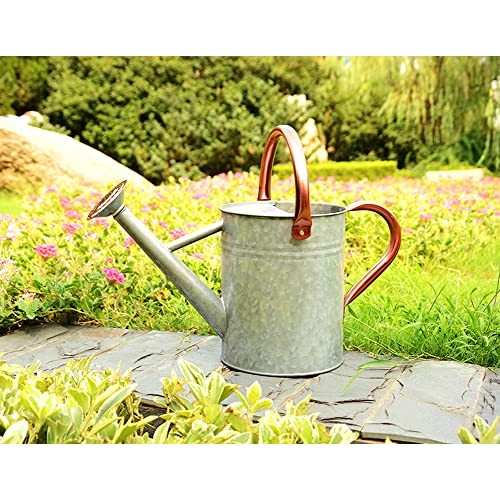 yourjoy Metal Watering Can, One Gallon Watering Cans Stainless Ste...