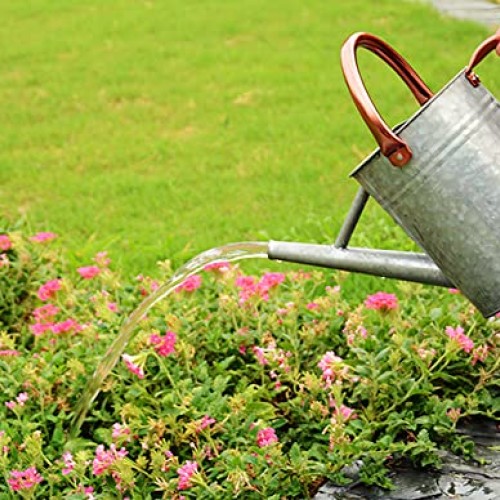 yourjoy Metal Watering Can, One Gallon Watering Cans Stainless Ste...