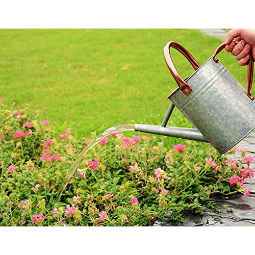 yourjoy Metal Watering Can, One Gallon Watering Cans Stainless Ste...