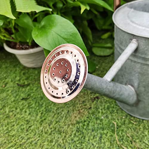 yourjoy Metal Watering Can, One Gallon Watering Cans Stainless Ste...