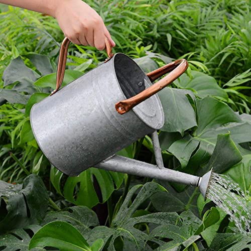 yourjoy Metal Watering Can, One Gallon Watering Cans Stainless Ste...