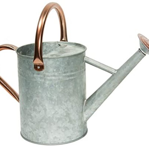 yourjoy Metal Watering Can, One Gallon Watering Cans Stainless Ste...