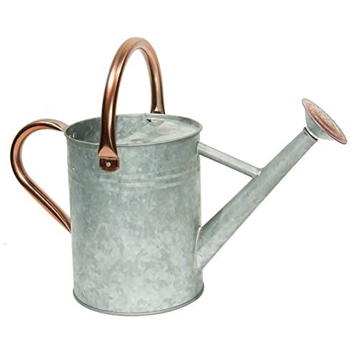 yourjoy Metal Watering Can, One Gallon Watering Cans Stainless Ste...