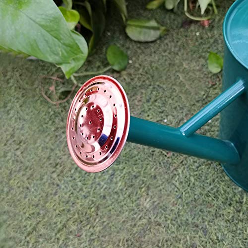 yourjoy Steel Watering Can Sliver Galvanized Steel Watering Can wi...