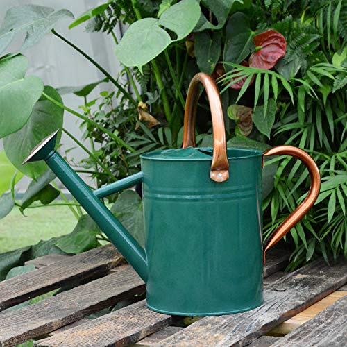 yourjoy Steel Watering Can Sliver Galvanized Steel Watering Can wi...