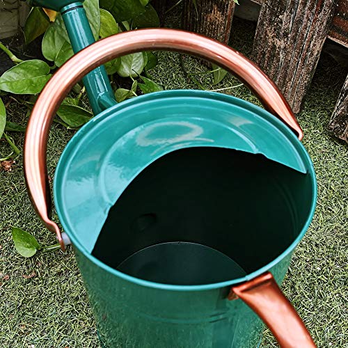 yourjoy Steel Watering Can Sliver Galvanized Steel Watering Can wi...