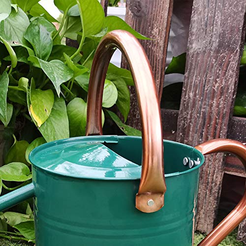 yourjoy Steel Watering Can Sliver Galvanized Steel Watering Can wi...