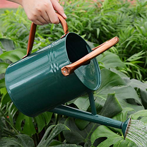 yourjoy Steel Watering Can Sliver Galvanized Steel Watering Can wi...