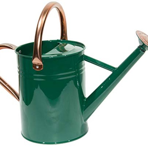 yourjoy Steel Watering Can Sliver Galvanized Steel Watering Can wi...