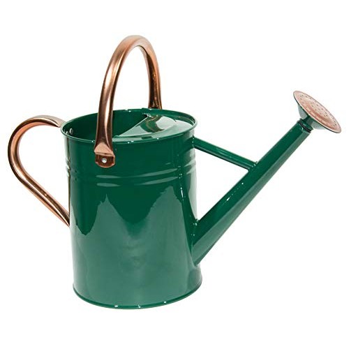 yourjoy Steel Watering Can Sliver Galvanized Steel Watering Can wi...