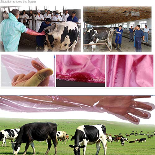 YouU Disposable Soft Plastic Film Gloves Long Arm Examination Arti...