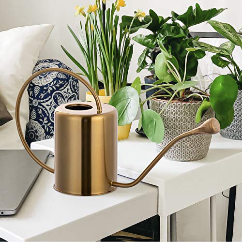 Yowon 1/2 Gallon 68oz Long Spout Stainless Steel Gold Colored Wate...