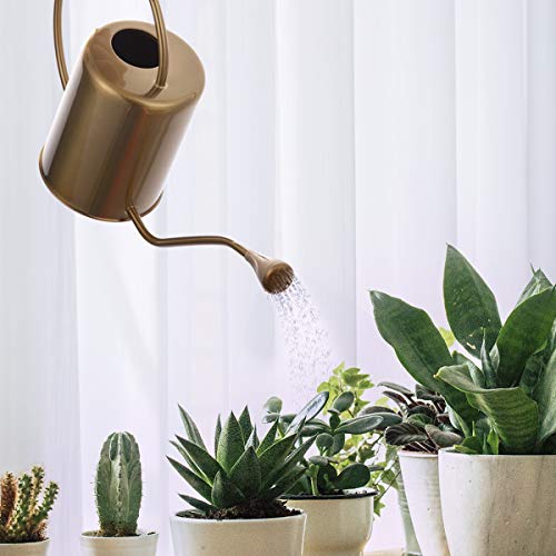 Yowon 1/2 Gallon 68oz Long Spout Stainless Steel Gold Colored Wate...