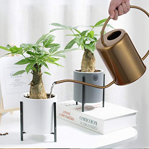 Yowon 1/2 Gallon 68oz Long Spout Stainless Steel Gold Colored Wate...