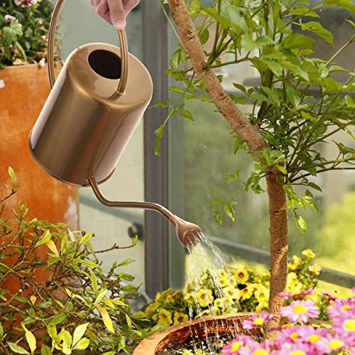 Yowon 1/2 Gallon 68oz Long Spout Stainless Steel Gold Colored Wate...